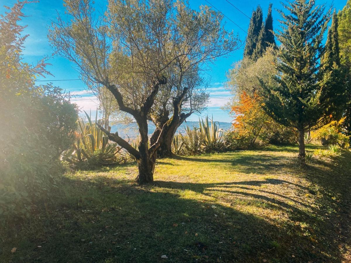 מוטורו Les Lodges De Saint-Cassien 3 מראה חיצוני תמונה